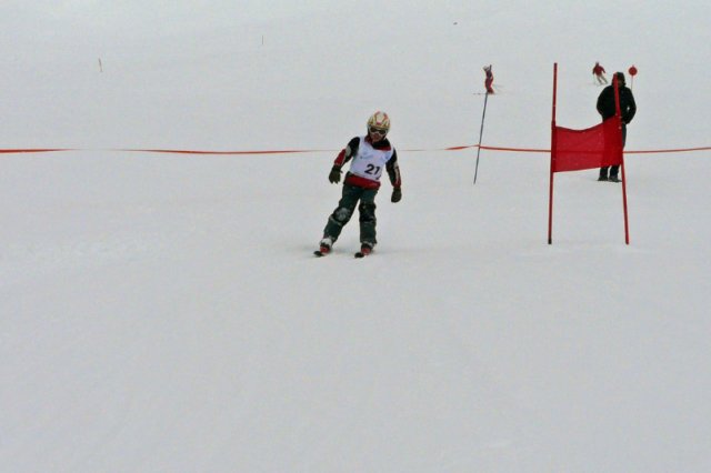 p1140755_bearbeitet1.jpg