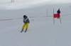 p1140764_bearbeitet1_small.jpg