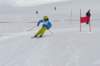 p1140765_bearbeitet1_small.jpg