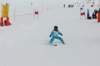 p1140767_bearbeitet1_small.jpg