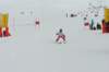 p1140768_bearbeitet1_small.jpg
