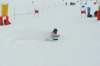 p1140773_bearbeitet1_small.jpg