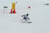 p1140775_bearbeitet1_small.jpg