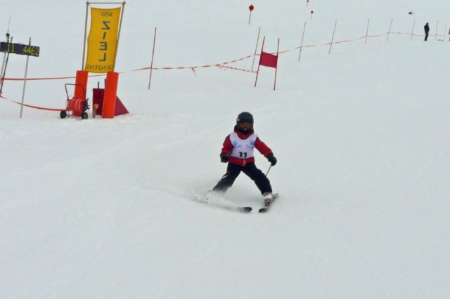 p1140776_bearbeitet1.jpg