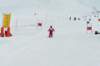 p1140781_bearbeitet1_small.jpg
