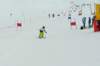 p1140783_bearbeitet1_small.jpg