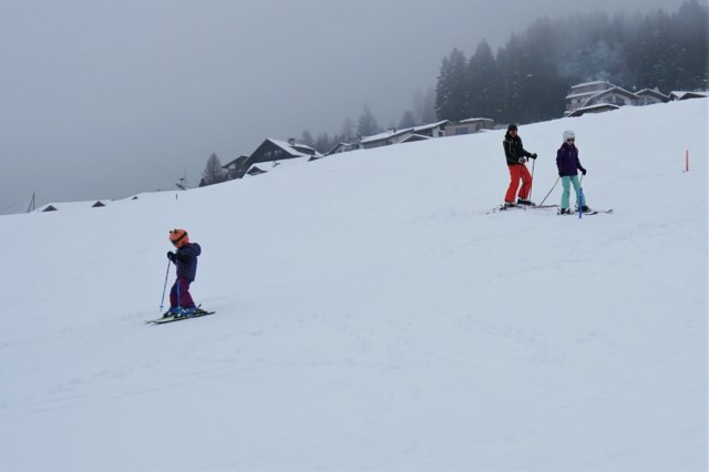 dsc06006.jpg