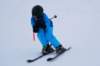 dsc06010_small.jpg