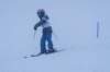 dsc06022_small.jpg