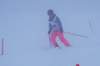 dsc06025_small.jpg