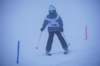 dsc06031_small.jpg
