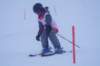 dsc06036_small.jpg