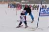 dsc06066_small.jpg