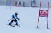 dsc06086_small.jpg