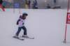 dsc06097_small.jpg