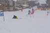 dsc06108_small.jpg