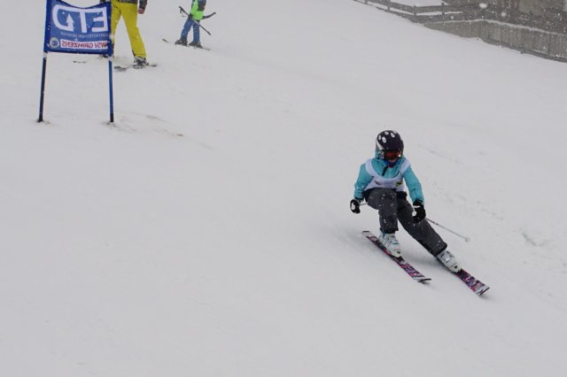 dsc06134.jpg
