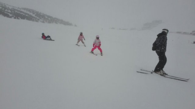 img20180215wa0013.jpg