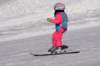 dsc00026_small.jpg