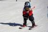 dsc00056_small.jpg