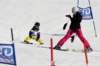 dsc00066_small.jpg