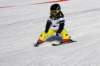 dsc00078_small.jpg
