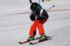 dsc00243_small.jpg