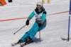 dsc00274_small.jpg