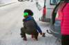 dsc00005_small.jpg