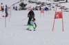 dsc000432_small.jpg