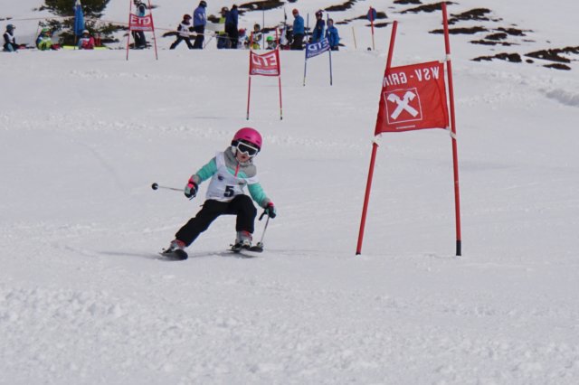 dsc000782.jpg