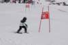 dsc001412_small.jpg
