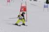 dsc001662_small.jpg
