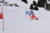 dsc005622_small.jpg