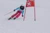 dsc005982_small.jpg