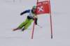 dsc006532_small.jpg