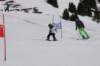 dsc010202_small.jpg