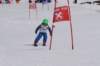 dsc011412_small.jpg