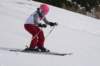 dsc013802_small.jpg