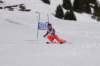 dsc016552_small.jpg