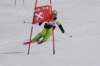 dsc017522_small.jpg