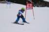dsc00040_small.jpg