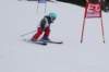 dsc00095_small.jpg
