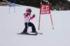 dsc00288_small.jpg