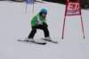 dsc00474_small.jpg