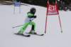 dsc00505_small.jpg