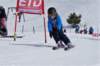 dsc07003_small.jpg