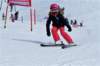 dsc07135_small.jpg