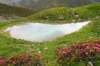 dsc09612_small.jpg