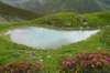 dsc09613_small.jpg